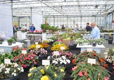 At Schneider Youngplants.