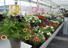 One of the mixes of Schneider.