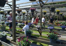 Jonge Planten Grünewald.