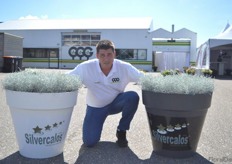 Nico Boers of Jonge Planten Grünewald presenting the Silvercalos. During the FlowerTrials week, this Calocephalus was their showpiece. “It is not a new variety, but the trade is asking for our Calos. So, a good opportunity to show it again this week”, says Boers. Currently seven growers are putting the the Silvercalos on the market.