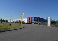 Benary and Volmary presented their products at Kébol in Rijsenhout.