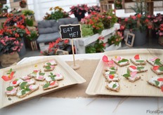 Did you know that the flowers of the begonia are edible? At Benary, they presented the flowers of the Big begonia on a cracker. According to Günter, this characteristic might enthuse the younger generation for this plant. More on this later on FloralDaily.