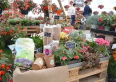 "Benary also presented ideas how retailers or garden centers can present the plants. The idea showcased in this picture is presenting everything together. "In this way, consumers can find the necessities quickly", says Günter."