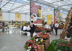 FlowerTrials location Benary and Volmary.