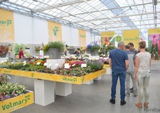 Volmary FlowerTrials location.