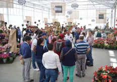 A group of 24 small ornamental growers from Colombian. They were traveling abroad for the first time and attended the FlowerTrials. On this picture they receive a guided tour at Benary.