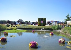 The garden at Royal Van Zanten.