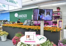 At Danziger, visitors could send a Amore petunia to one of their loved ones in Europe.