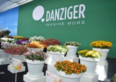 De highlights at Danziger.