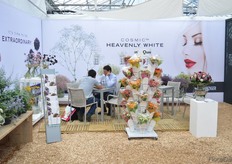 The Cut Flowers at Danziger.