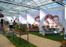 The area where Danziger presents their combination, called Mixis.