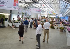 At Royal Van Zanten.