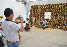 An Instagram-moment with the swing and the Skyfall assortment by Royal van Zanten