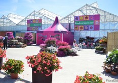 PanAmerican Seed in Rijsenhout