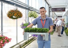 Mario Rigatti, Gruppo Padana was present at MNP flowers. They propagate various plants on two production locations in Italy.