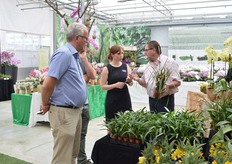 Jasmin Hassinger van Hassinger talking with visitors. In this area of MNP flowers. Hishtil, Cohen, Jaldety, Dalina Genetics and Butterfly Garden are presenting their varieties.