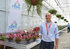 Eyal Klein of Hishtil presenting the Funtastick Calibrachoa Cherry Tree. It is a new high stem, grafted, ornamental Calibrachoa. This plant is created by grafting herbaceous ornamental Calibrachoa having a short height and bushy growth habit on a rootstock containing a high-single stem.