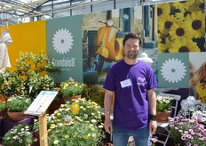 Erwin Giezen, MNP flowers, with the Grandaisy. According to Erwin these daisies are special due to their large flowers and easy branching. Withing a couple of weeks it is a vigourous plant.
