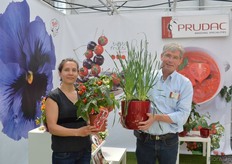 Escalon showing the Heart breaker, Ammerlaan showing Prudacs' onion.