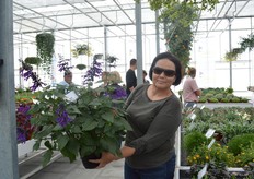 Rely Jaldety with the Salvia Amistad. One of the best sellers in Salvia, says Rely.