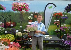 Paul Jackson, Channel Island Plants showing the Diascia Variegated Nathalia.
