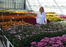 "Nanda Broekhuijsen, Armada. A few weeks ago, Tom Dumoulin won the Giro D'Italia. "We often name flowers after cyclists, but the fact the guy won the race, and the fact the flower is pink, is a lucky coincidence."