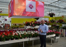 Robbin van der Berg, Syngeta. The Calliope is our major innovation this year. It's the result of a crossing between three types of pelargonium, thereby keeping the best characteristics of all and getting rid of the lesser ones. From the start, the varieties have been a success. Now, the company has the intended series (in 3 pot sizes, in 19 different colors) complete.