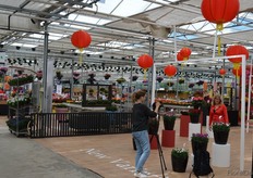 A touch of eastern culture at Sakata.