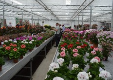 In the showroom of Hendriks Young Plants