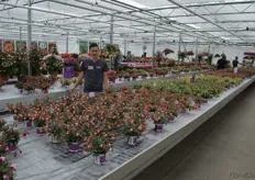Originally specialized in propagating different plants, the company has seen its breeding activities growing over the last years. Especially in the fuchsia assortment, Hendriks made name all through the market