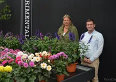 Marika de Koning and Co Verduijn. At Hilverda Kooij, strides are made in different crops. One of them can be seen here: salvia, a flower with black stems and available in three bright colors: purple, Lila and pink.