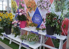 This year's nominees