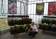 Julian Wilson, from the English breeding company Floranova & Vegetalis. The company was one of two English breeding companies present at the FlowerTrials, and had powerful novelties to present in, among others, Cosmos, African Marigold and Celosia
