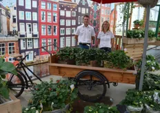 ABZ Seeds, Paul Doodeman and Rinske van Dekken. The company is specialized in the production of strawberry plants from seed.