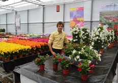 Edo Kolmer, Agriom, in the colorful showroom