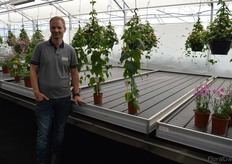 Last but not least, a newcomer at the FlowerTrials. De Zonnebloem is mostly known for its ferns, but on the side specializing in a few specialties. Like the Abutilon, a funny looking plant with small lanterns. On the photo Bart Oostveen.