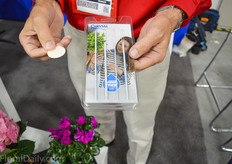 The New Aqua-pad and Aqua-stick of Chrysal.