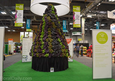 One of the eye catchers at Cultivate this year, the Heuchera Tree.
