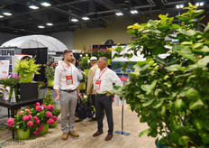 Tom O'Connell of Star Roses and Plants talking.