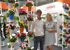 Koen van Koppen with colleague Tamara Elstgeest. Cyclamen, begonia’s and eenjarige planten like poinsettia’s are popular.