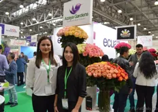 Maria Puga and Luz Marina Proano of Azaya Gardens. They grow roses in Ecuador and are supplying 80 percent of their volumes to the Russian market. Compared to last year, their volumes increased by 10 percent and reached the same volume as before the crisis. The prices, however, did not reached the same level, and especially the ones of the shorter stems.