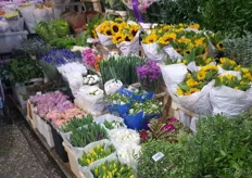 Wide assortment of flowers.