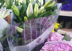 Lilies from Dutch grower Paauw Lilies