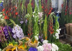 More than roses on the market