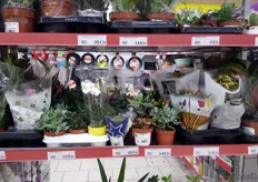 Interestingly, the plants in the supermarket are quite small.