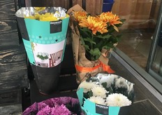 Also in this small show we see Decorum pot chrysanthemums