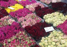 Roses, roses and more roses.