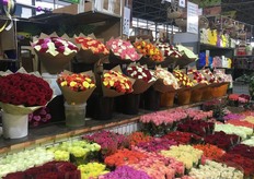 Roses, roses and roses.