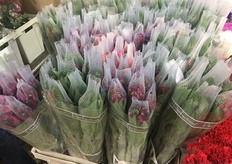 Perfection branded alstroemerias from Colombia.