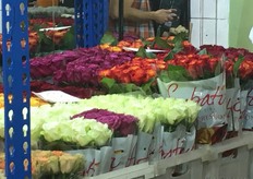 Roses of Kenyan farm Subati Group.